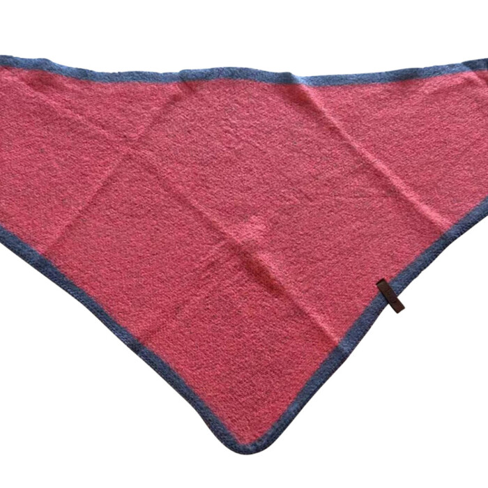 Sjaal Nina 10 - Roze met blauwpaarse rand (2)